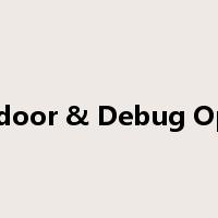 Backdoor & Debug Option是什么意思