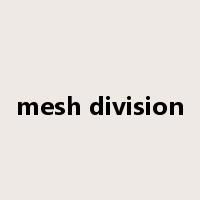 mesh division是什么意思
