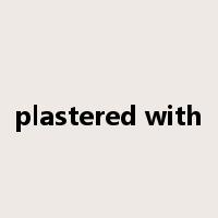 plastered with是什么意思