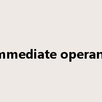 immediate operand是什么意思