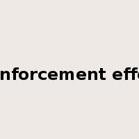 reinforcement effect是什么意思