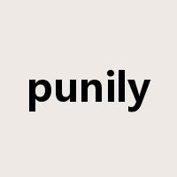punily是什么意思