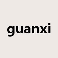 guanxi是什么意思