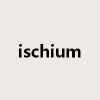 ischium是什么意思