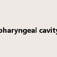 pharyngeal cavity是什么意思