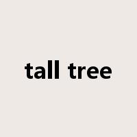 tall tree是什么意思