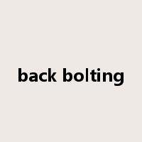back bolting是什么意思