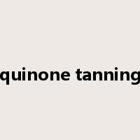 quinone tanning是什么意思