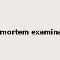postmortem examination是什么意思