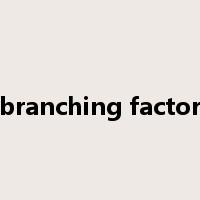 branching factor是什么意思