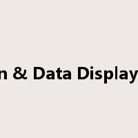Simulation & Data Display Template是什么意思