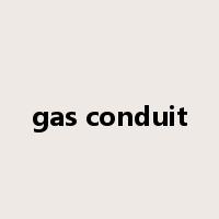 gas conduit是什么意思