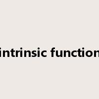 intrinsic function是什么意思