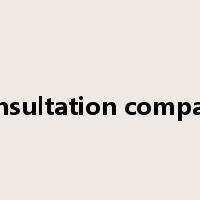 consultation company是什么意思