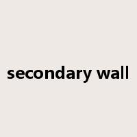 secondary wall是什么意思