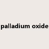 palladium oxide是什么意思