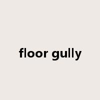 floor gully是什么意思