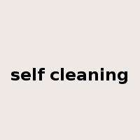 self cleaning是什么意思