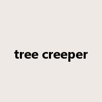 tree creeper是什么意思
