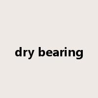 dry bearing是什么意思