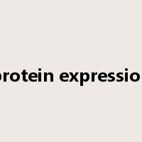protein expression是什么意思