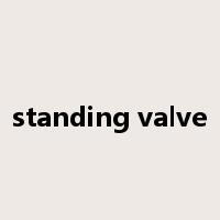 standing valve是什么意思