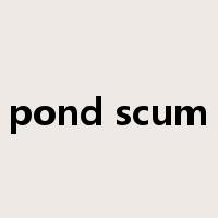 pond scum是什么意思