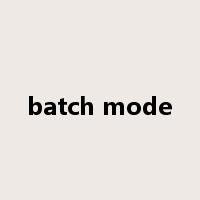 batch mode是什么意思