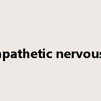 parasympathetic nervous system是什么意思