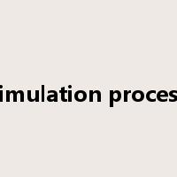 simulation process是什么意思