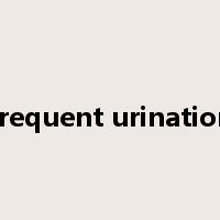frequent urination是什么意思