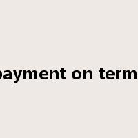 payment on terms是什么意思