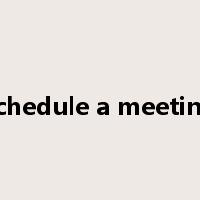 schedule a meeting是什么意思
