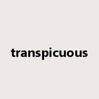 transpicuous是什么意思