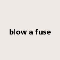 blow a fuse是什么意思