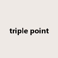 triple point是什么意思