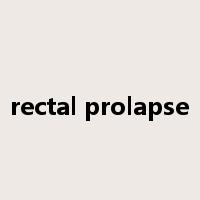 rectal prolapse是什么意思