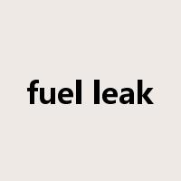 fuel leak是什么意思
