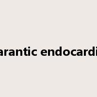 Marantic endocarditis是什么意思