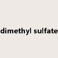 dimethyl sulfate是什么意思