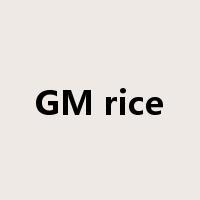 GM rice是什么意思