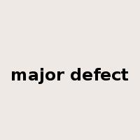 major defect是什么意思