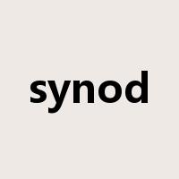 synod是什么意思