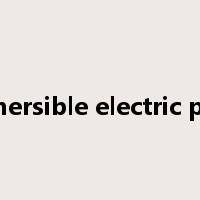 submersible electric pump是什么意思