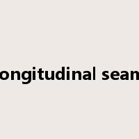 longitudinal seam是什么意思