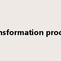 transformation process是什么意思