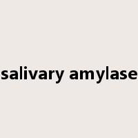 salivary amylase是什么意思