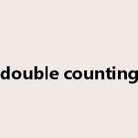 double counting是什么意思