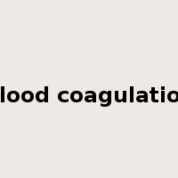 Blood coagulation是什么意思