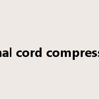 spinal cord compression是什么意思